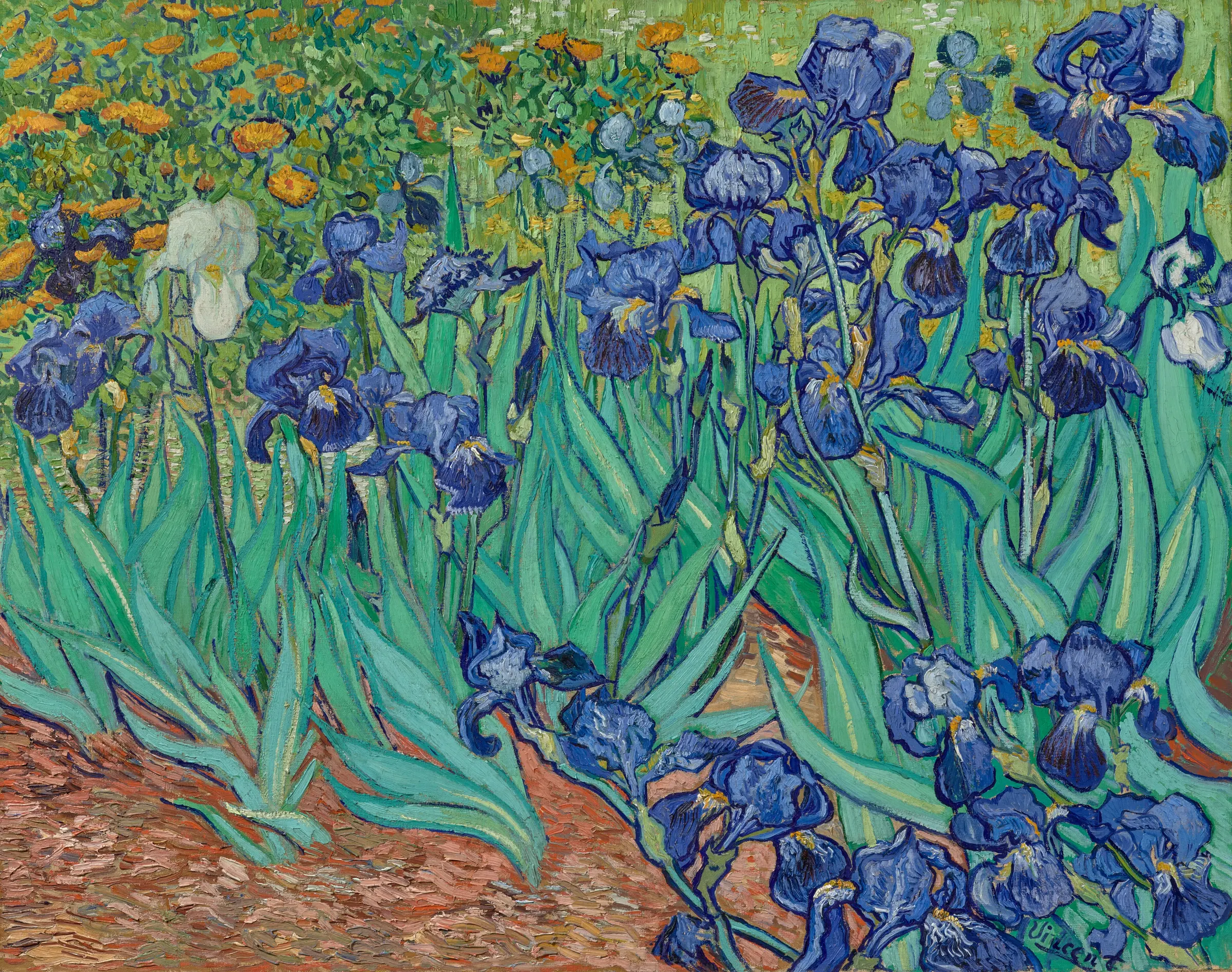 Irises, an oil painting by Vincent van Gogh, 1889. Blue irises and green leaves in a garden.